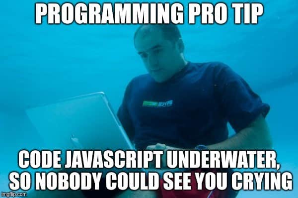 Hire JavaScript Developer 22 Meme about Javascript