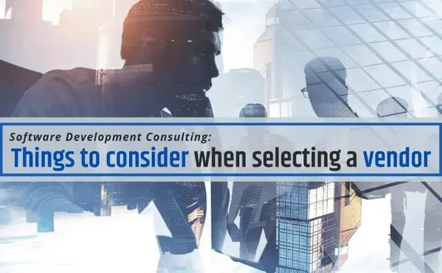 Software Development Consulting 2 software developer consulting